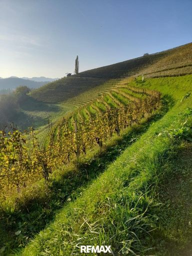 SilberbergWeinberg
