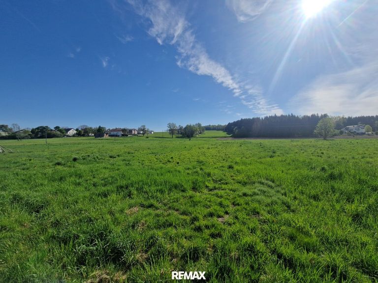 Nutzgrund