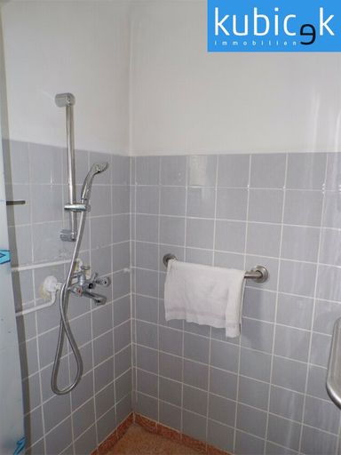 Linke Hälfte EG: Bad mit Dusche und Waschmaschinenanschluss