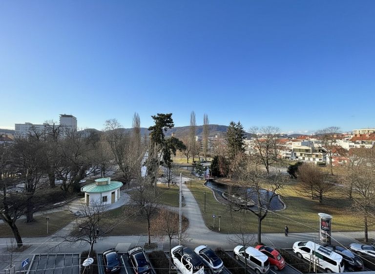 Parkblick