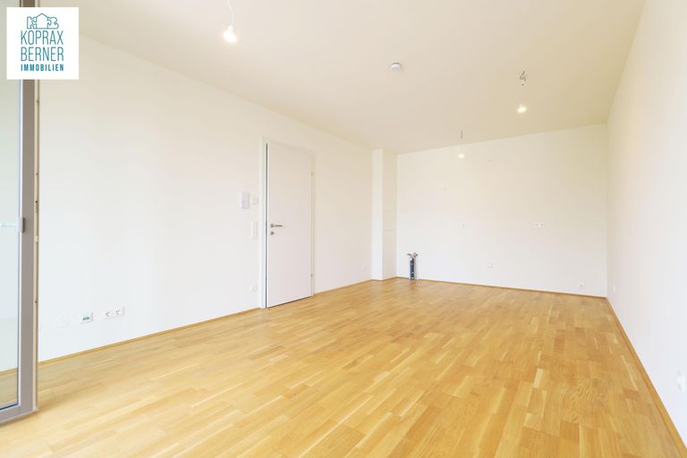 Wohnzimmer-Kochnische