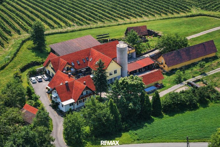 Bauernhof mit Weinhügel im Vordergrund