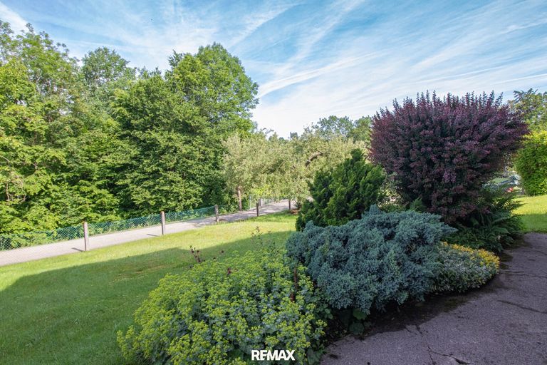 traumhafter Garten