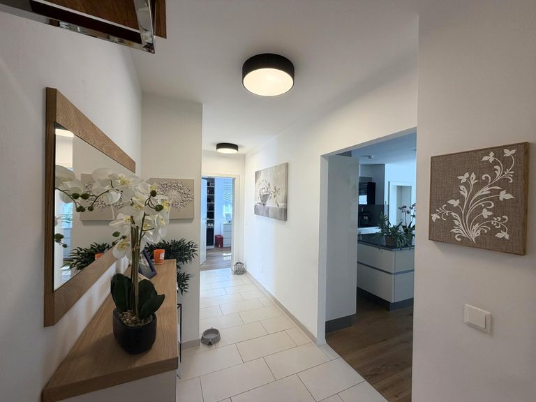 Wohnungseingang / Flur / Living