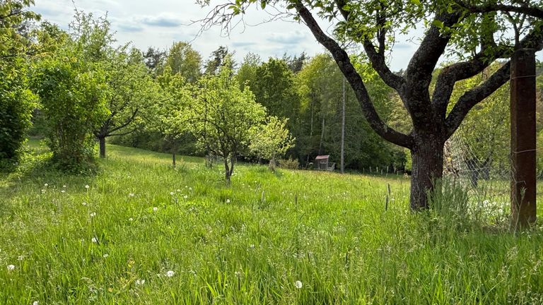 Traumgarten