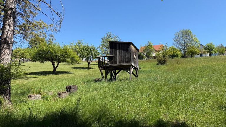 Garten mit Baumhaus
