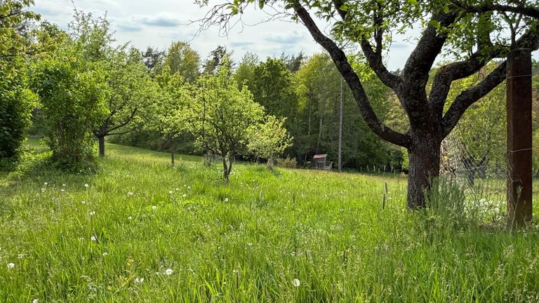 Traumgarten
