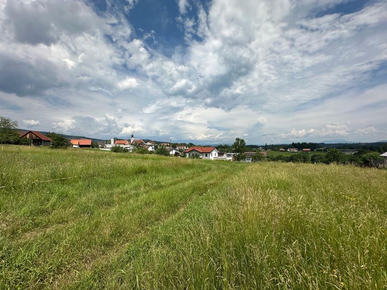 großzügiges Baugrundstück