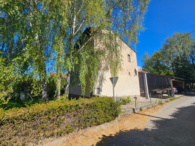 Straßenansichten Haus (4)