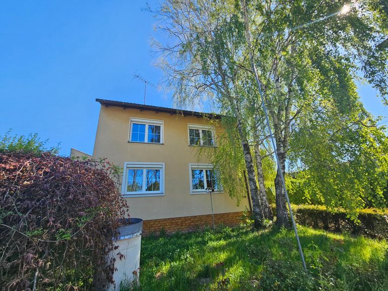 Straßenansichten Haus (2)