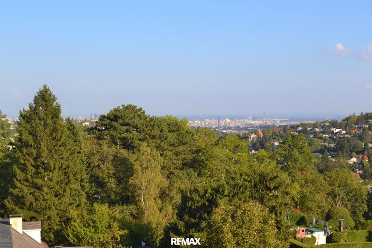 Ausblick im Sommer