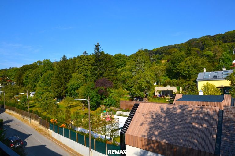 Ausblick im Sommer