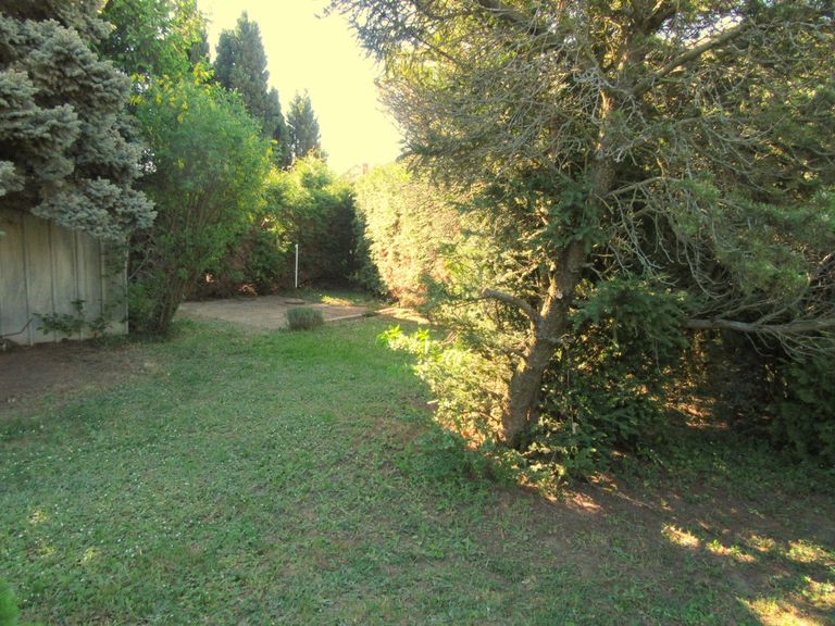 18 Garten 2