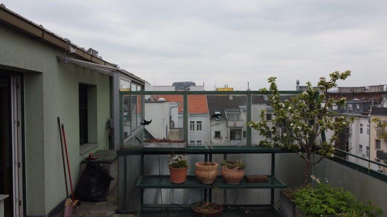 5_Terrasse_2
