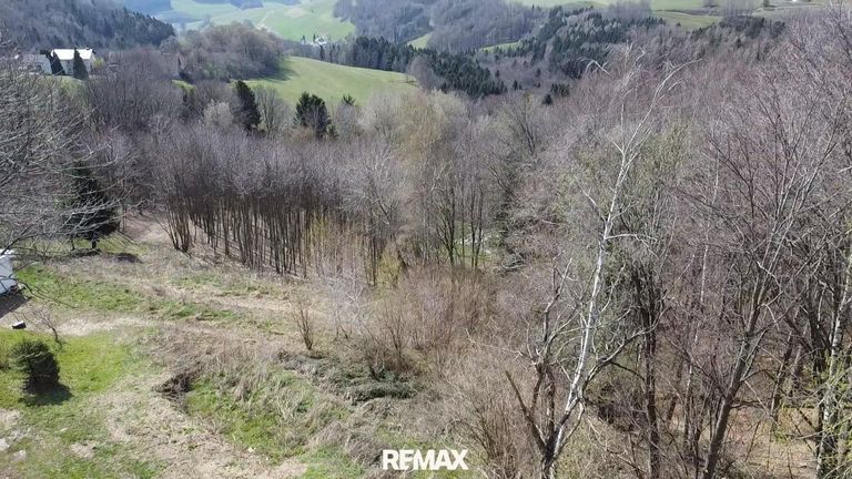 Weitblick