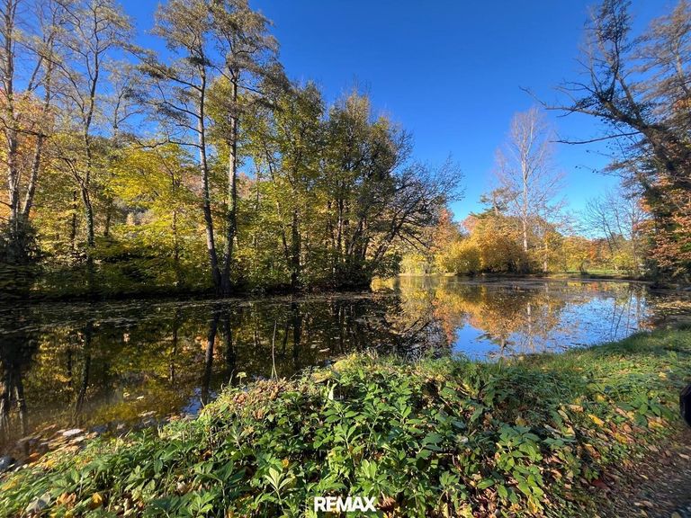 Teich