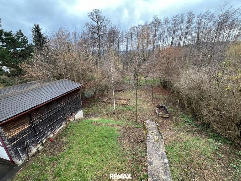 Blick in den Garten