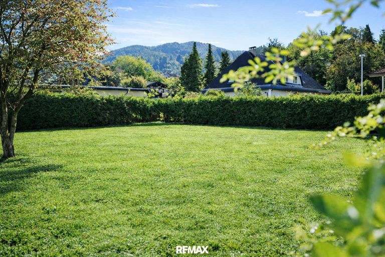 Garten im Sommer