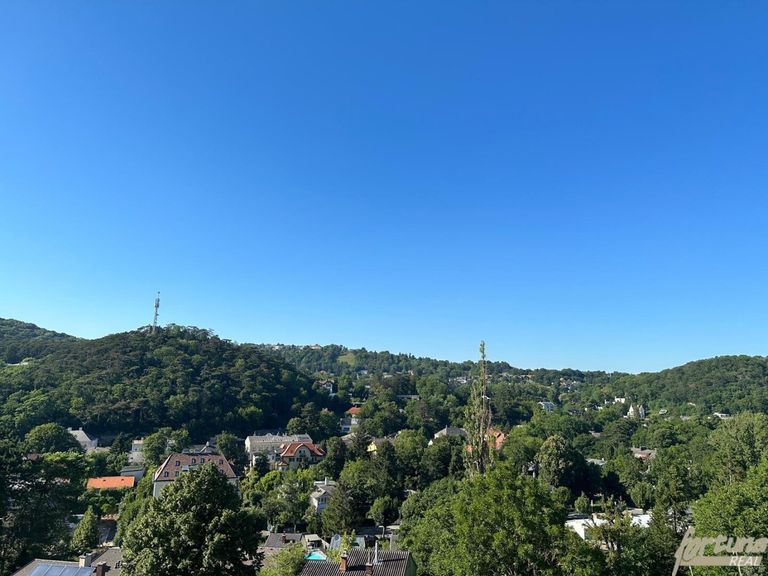 Ausblick