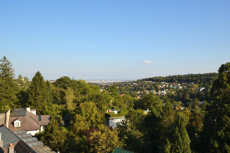 Ausblick im Sommer
