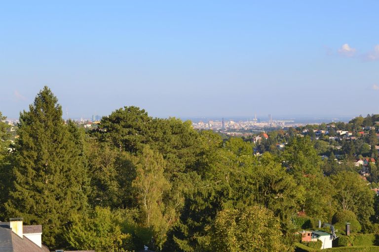 Ausblick im Sommer