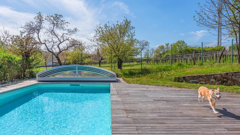 Pool und Garten