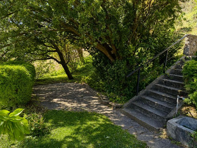 Garten - Ansicht 1