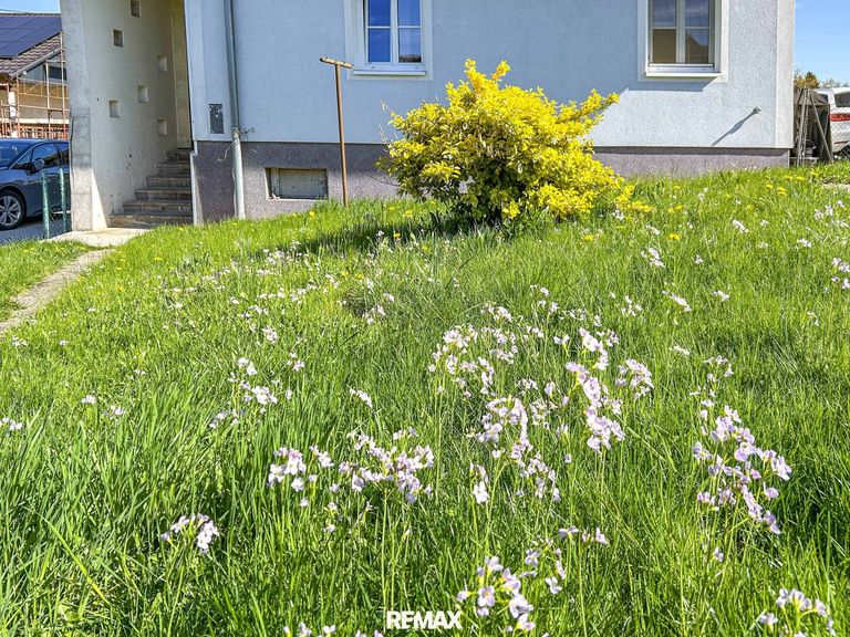 Blumenerwachen...