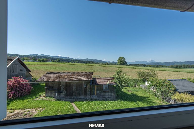 Blick ins Grüne vom 1. Stock