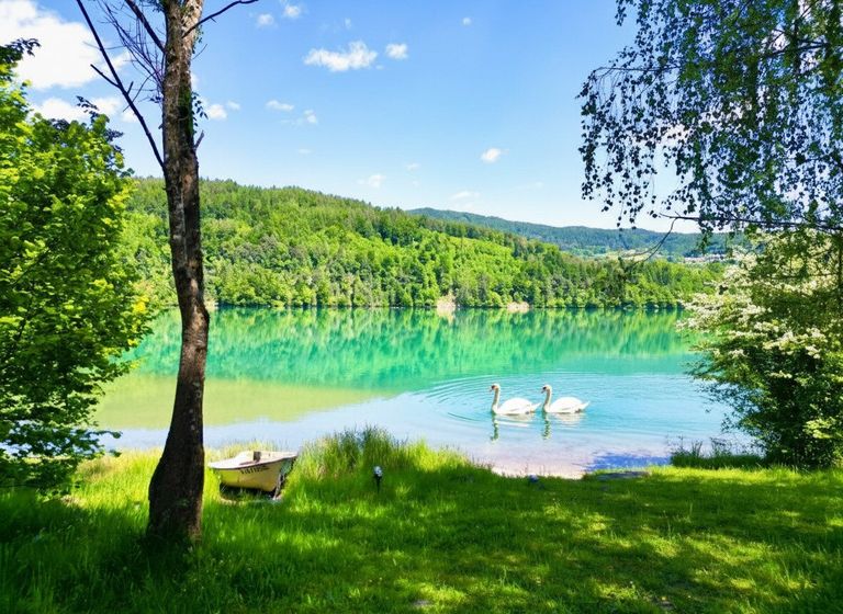 Bild vom See