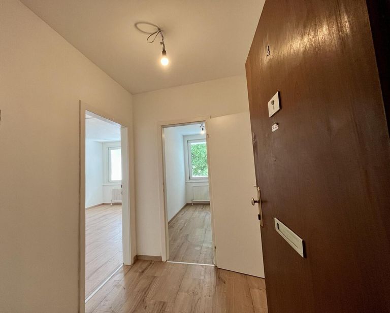 Eingang Wohnung 4