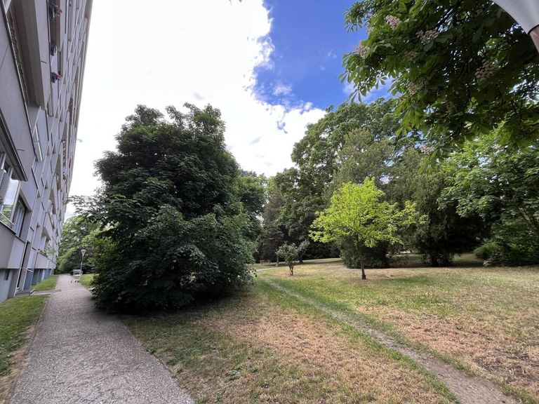 Viel Grün im angrenzenden Park