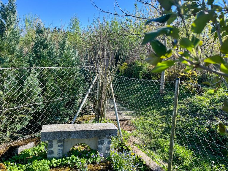 Gartenbereich