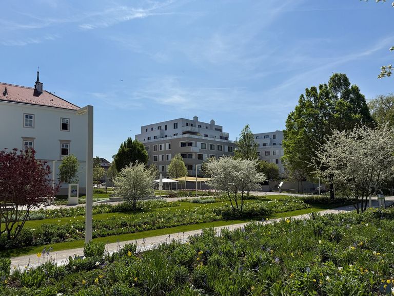 die Umgebung