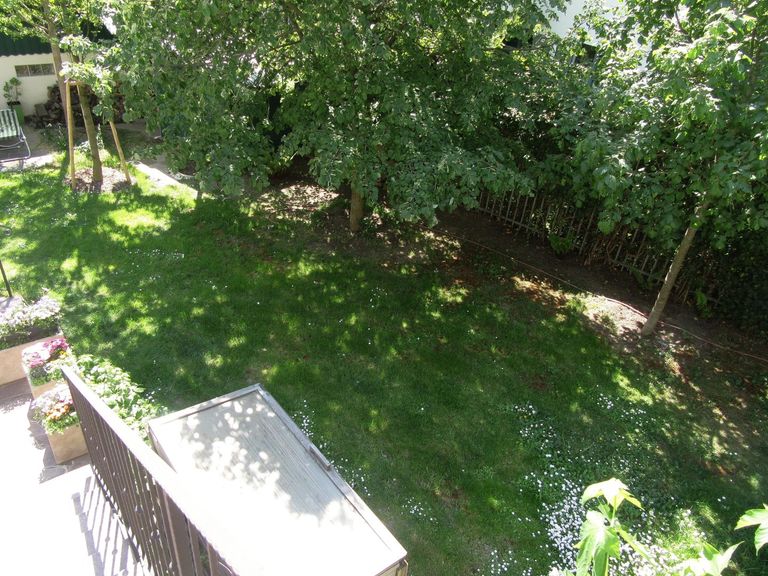 20 Garten