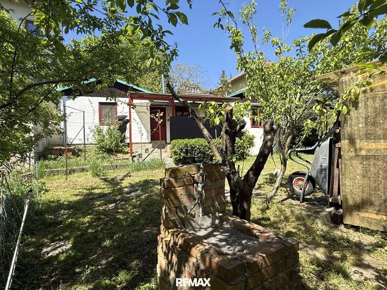 Garten vor dem Haus