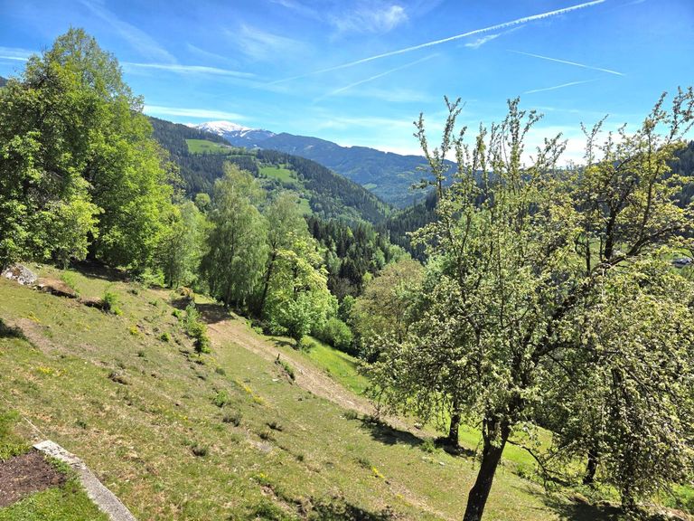 Aussicht auf die Koralpe
