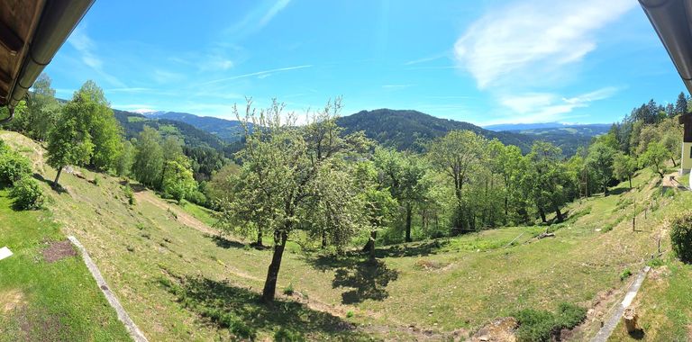 Panorama