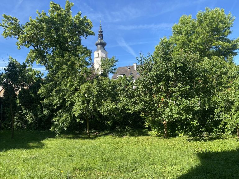 01 Mietwohnung in Königstetten