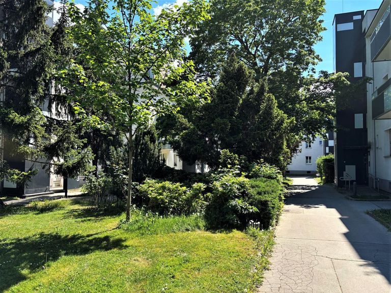 Gemeinschaftsgarten