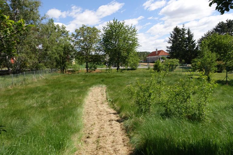 Hinterer Garten