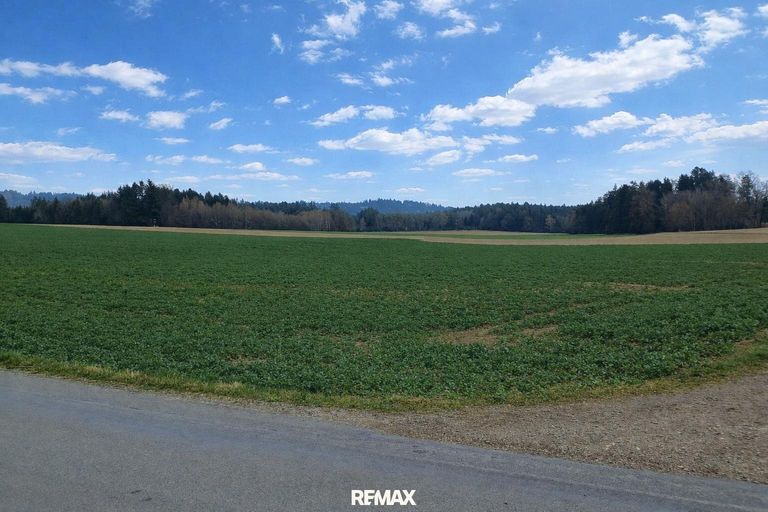 Liegenschaft St. Willibald (1)