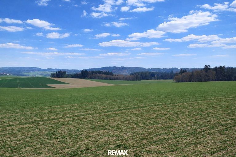 Liegenschaft St. Willibald (3)