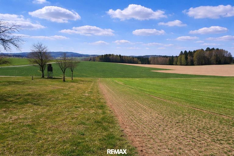 Liegenschaft St. Willibald (11)