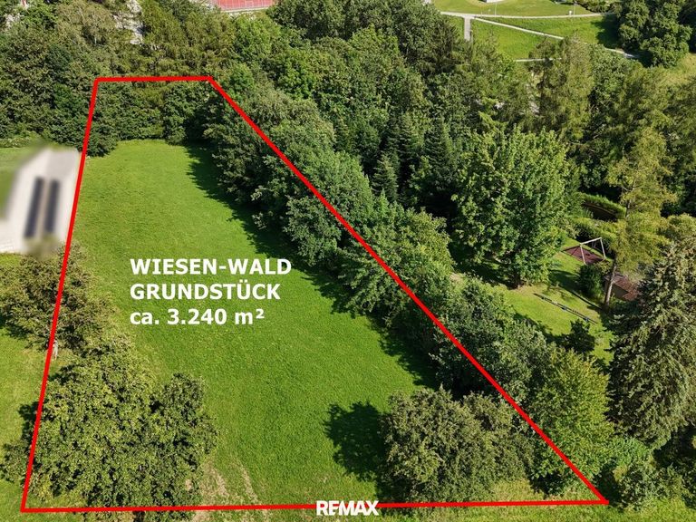  Grundstück Wiese inkl.Wald