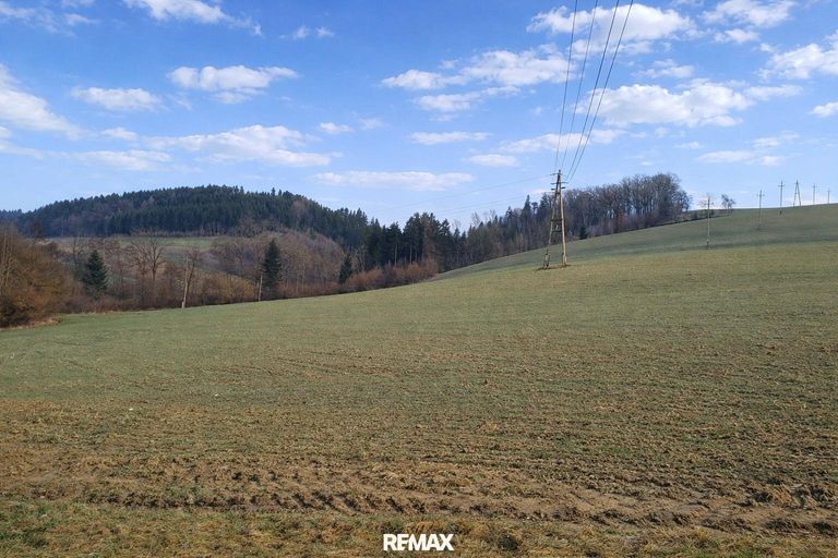 landw. Grundstück (2)