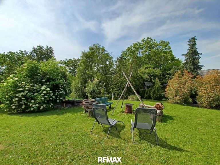 Garteneindrücke Sommer (1)