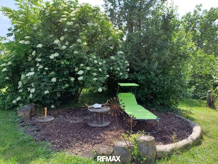 Garteneindrücke Sommer (5)