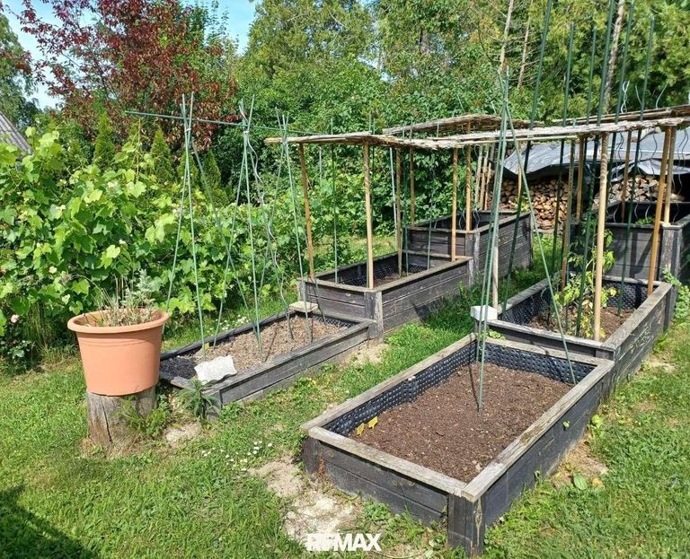 Garteneindrücke Sommer (7)