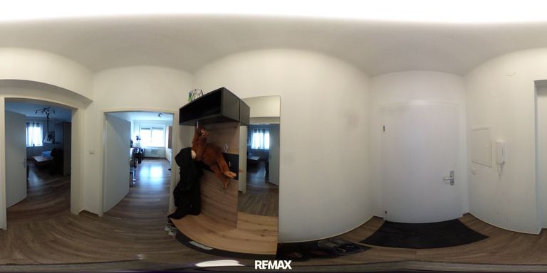 360 TOP 5 Vorzimmer